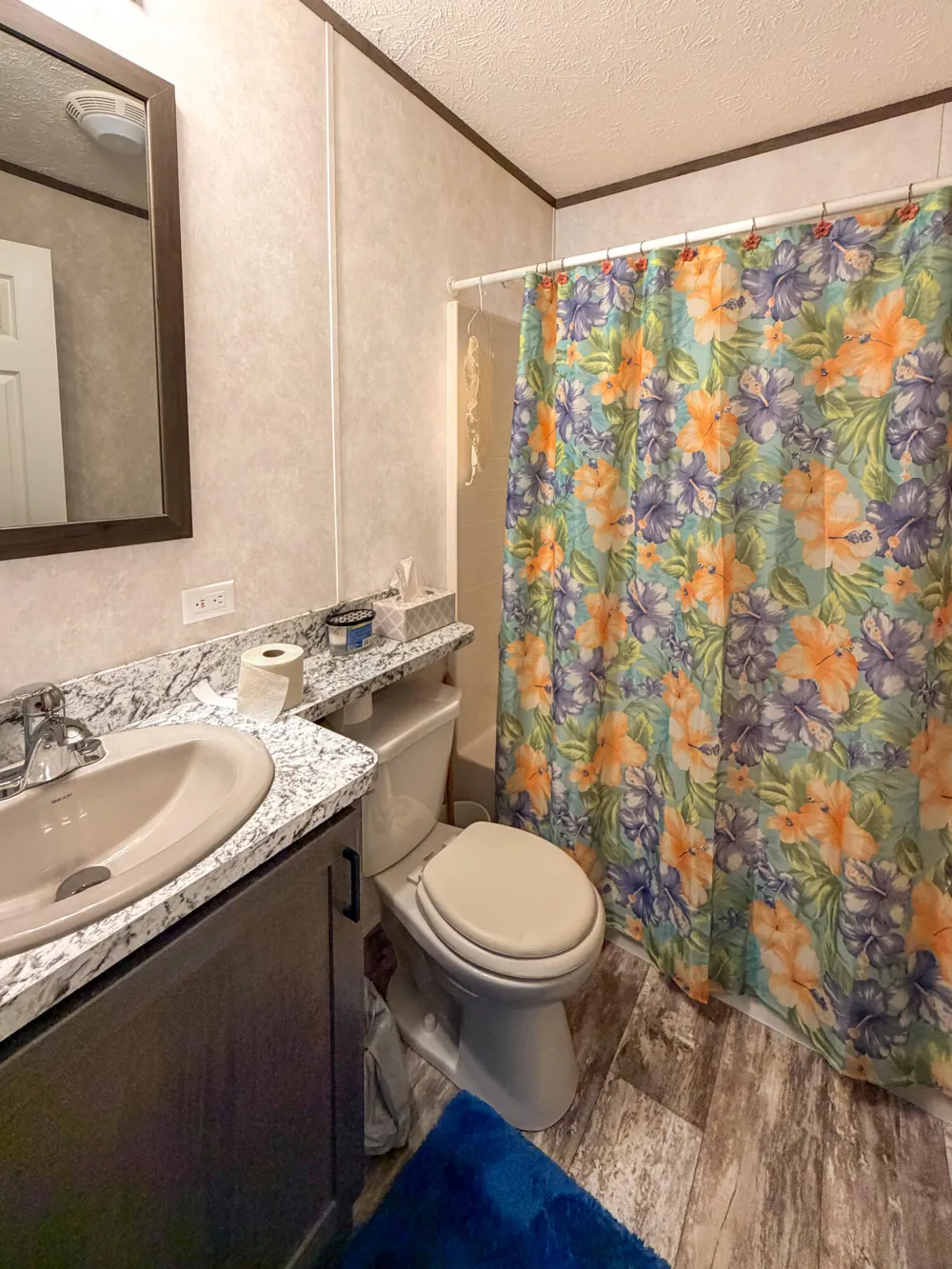2361 Oak Street Cedar Creek Township, MI 49457