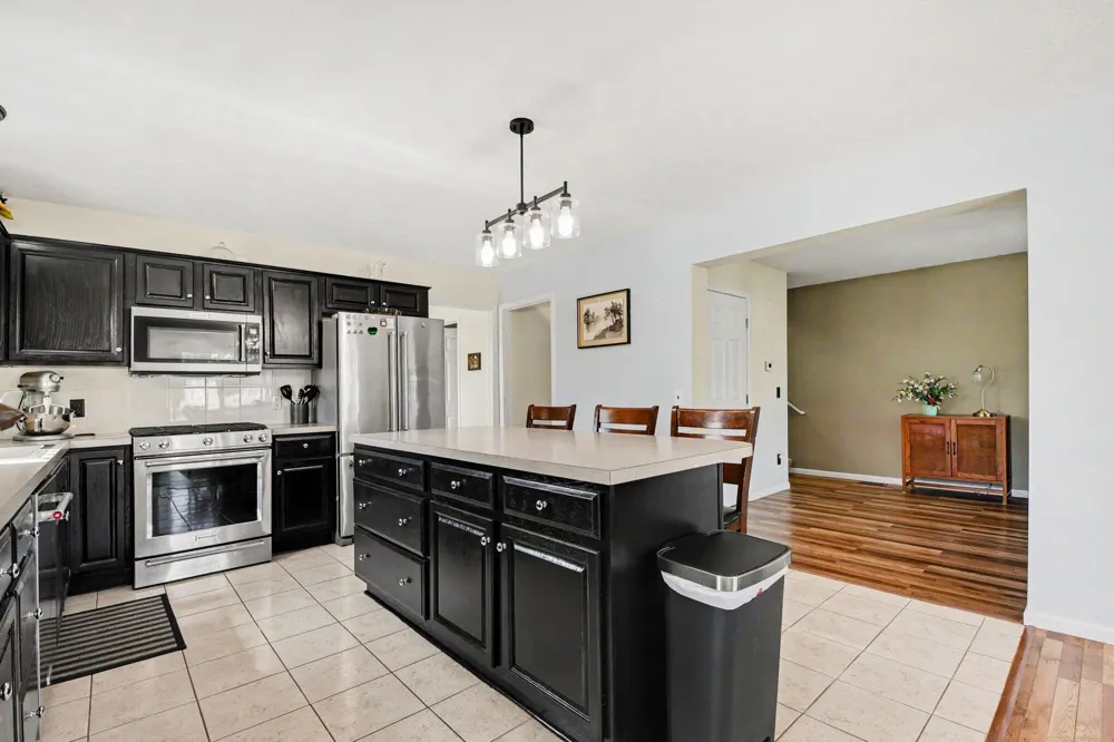 132 Foxtail Drive Ionia City, MI 48846