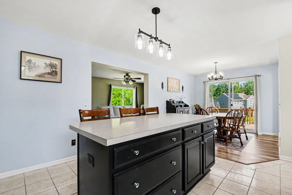 132 Foxtail Drive Ionia City, MI 48846