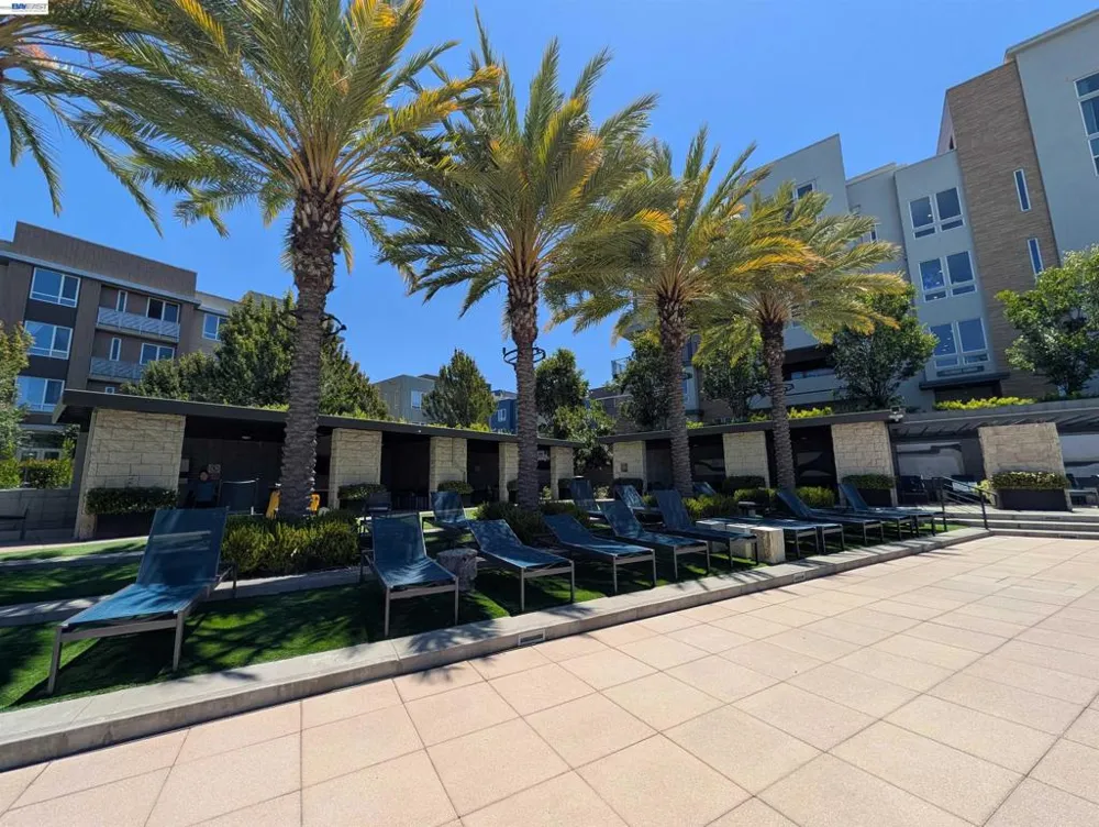 2339 Kinetic Cmn #312 Fremont, CA 94539