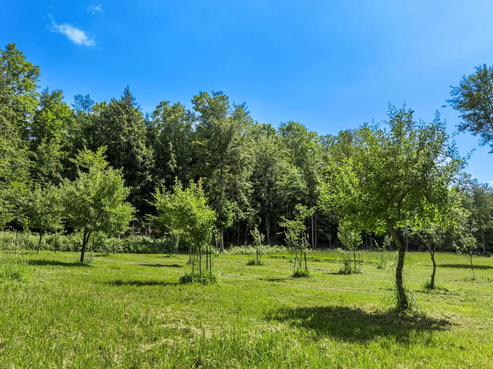 2881 E Aspen Drive Solon Township, MI 49621