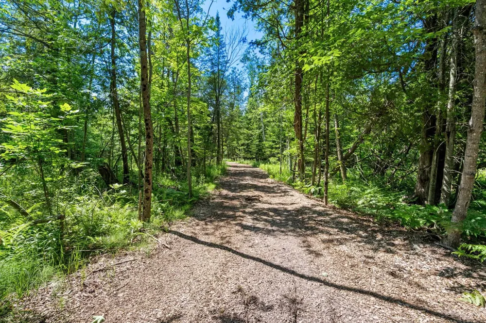 2881 E Aspen Drive Solon Township, MI 49621