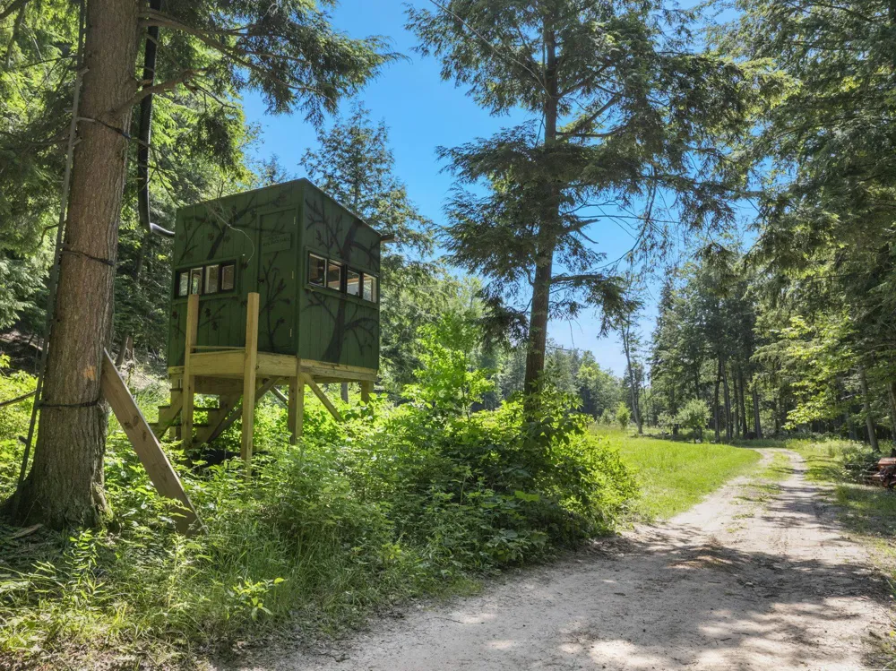 2881 E Aspen Drive Solon Township, MI 49621