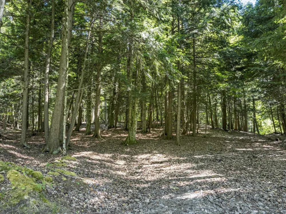 2881 E Aspen Drive Solon Township, MI 49621