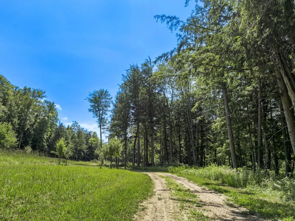2881 E Aspen Drive Solon Township, MI 49621