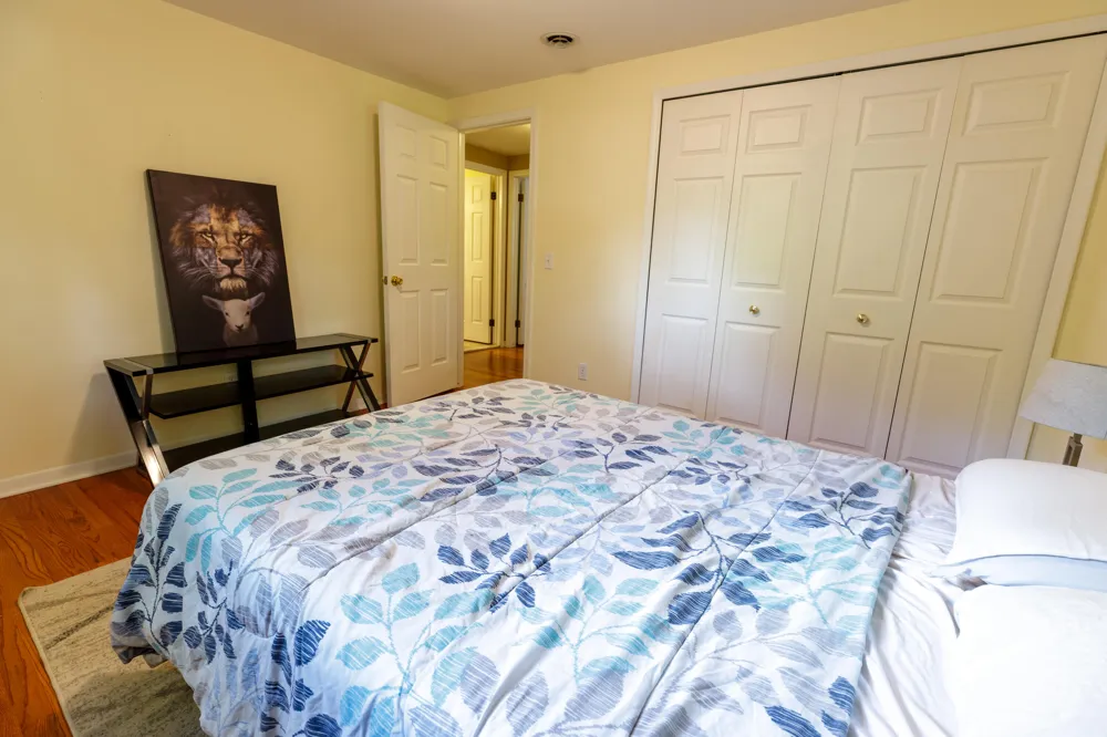 37243 Maple Leaf Court Clinton, MI 48036