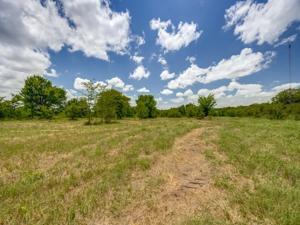 County Road 1110 Celeste, TX 75423
