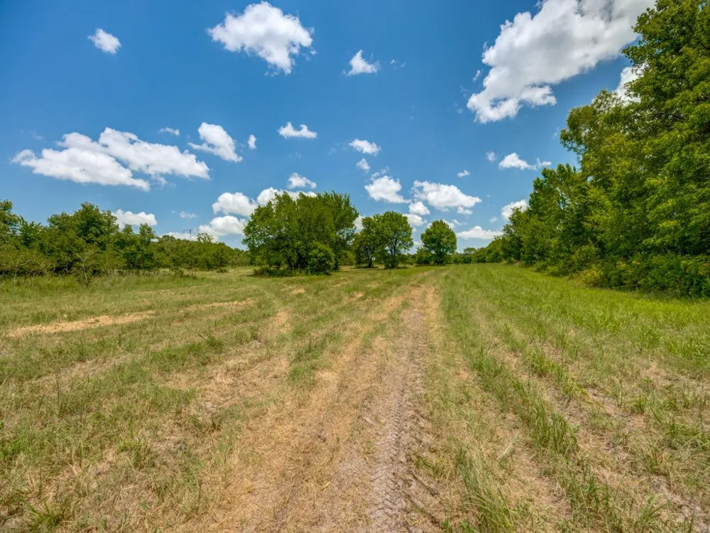 County Road 1110 Celeste, TX 75423