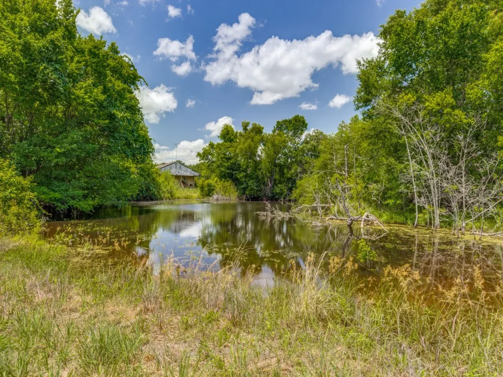 County Road 1110 Celeste, TX 75423