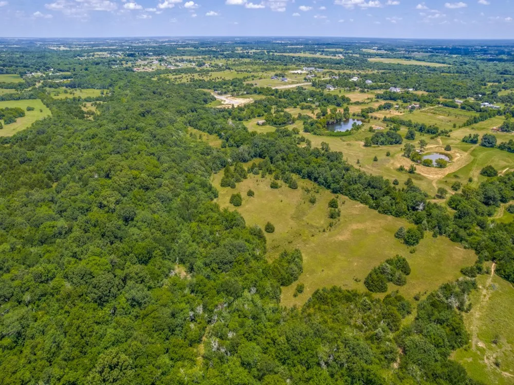 County Road 1110 Celeste, TX 75423