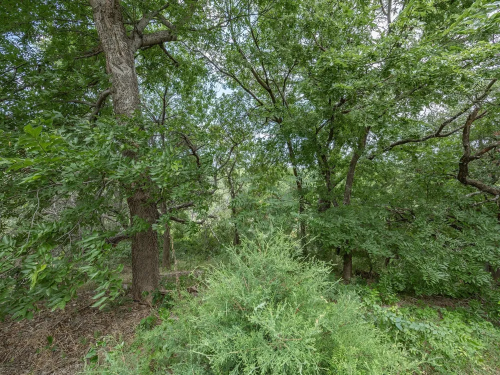 4008 Falcon Ridge Drive Haltom City, TX 76137
