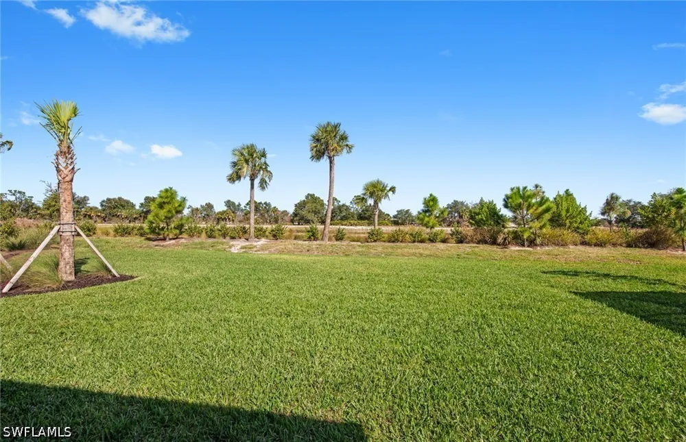 Basalt Lane Alva, FL 33920