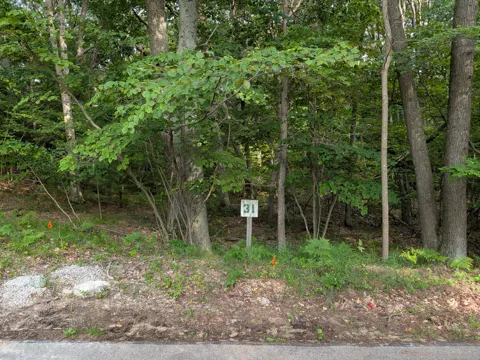 Silver Ridge Road #Lot 31