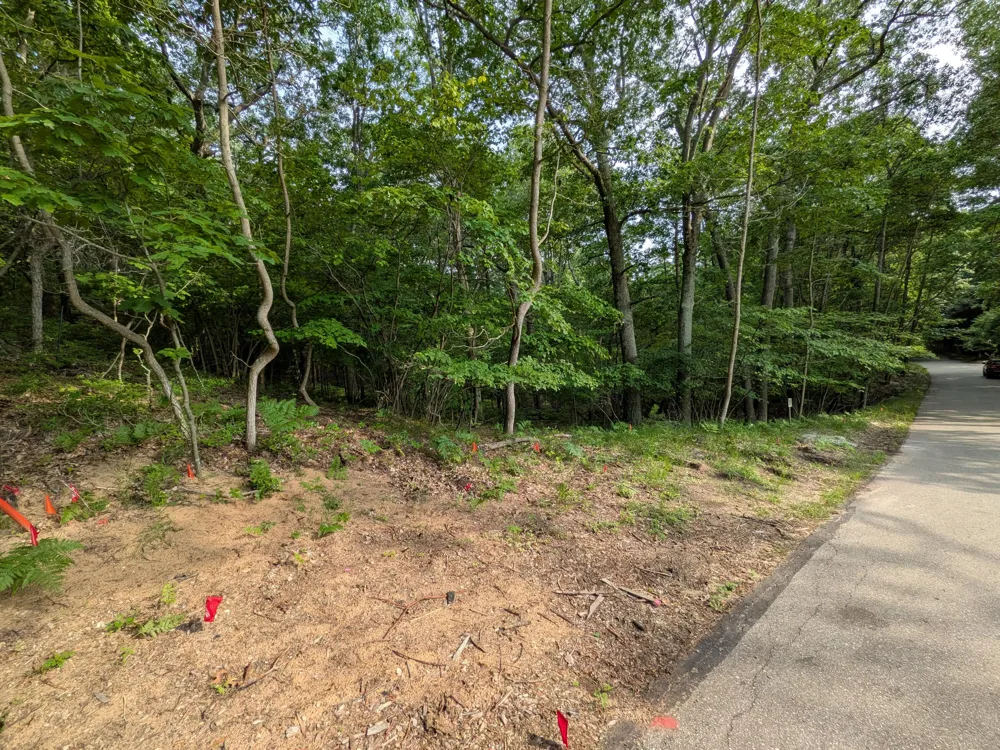 Silver Ridge Road #Lot 31 Mears, MI 49436