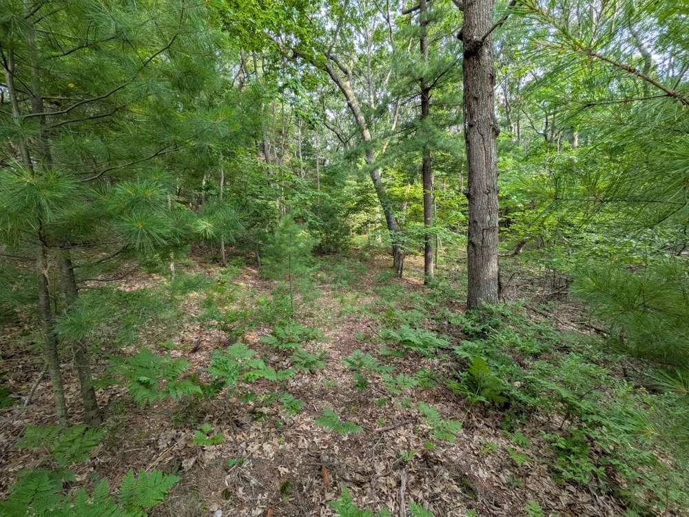Silver Ridge Road #Lot 31 Mears, MI 49436