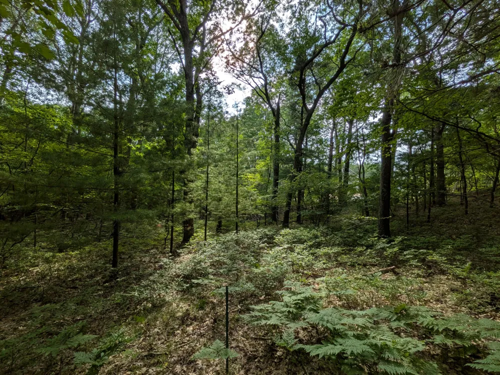 Silver Ridge Road #Lot 31 Mears, MI 49436