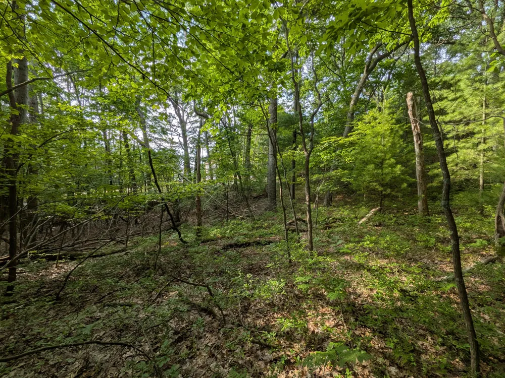 Silver Ridge Road #Lot 31 Mears, MI 49436