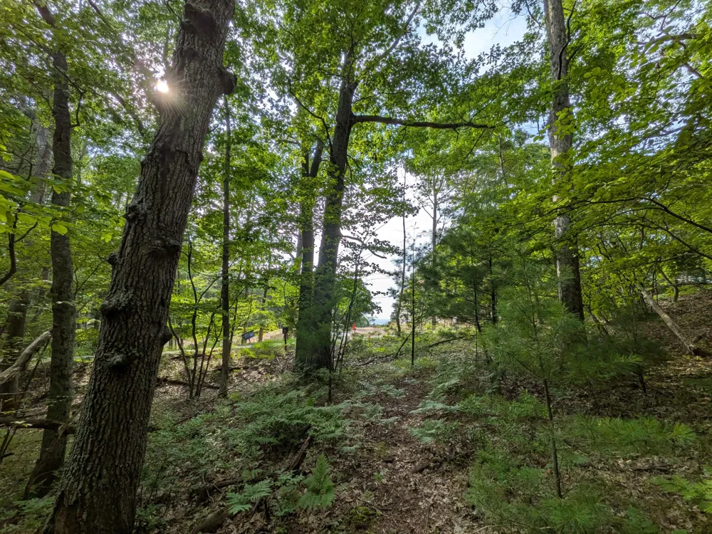 Silver Ridge Road #Lot 31 Mears, MI 49436