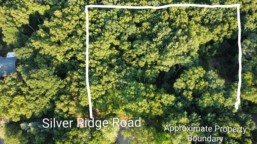 Silver Ridge Road #Lot 31 Mears, MI 49436