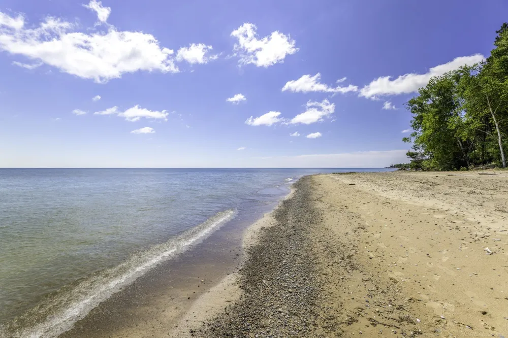 3388 Lakeshore Road Forester Township, MI 48427