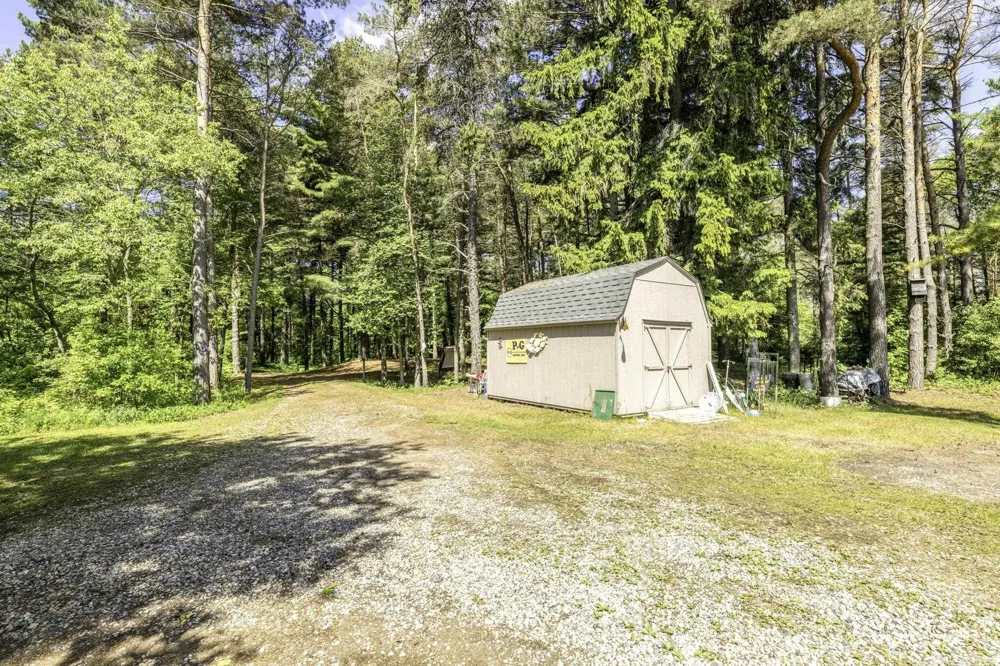 3388 Lakeshore Road Forester Township, MI 48427