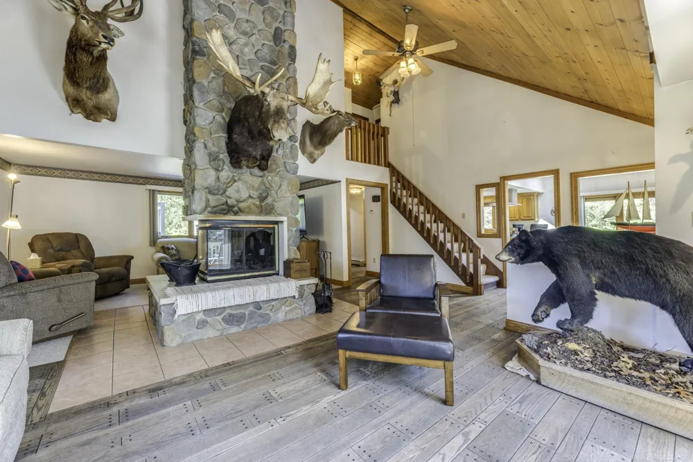 3388 Lakeshore Road Forester Township, MI 48427
