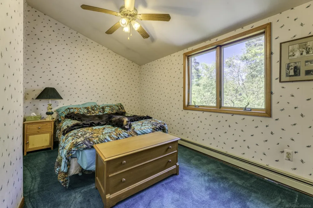 3388 Lakeshore Road Forester Township, MI 48427