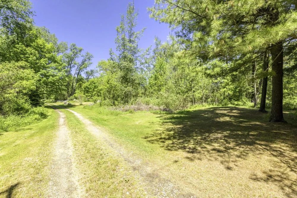 3388 Lakeshore Road Forester Township, MI 48427