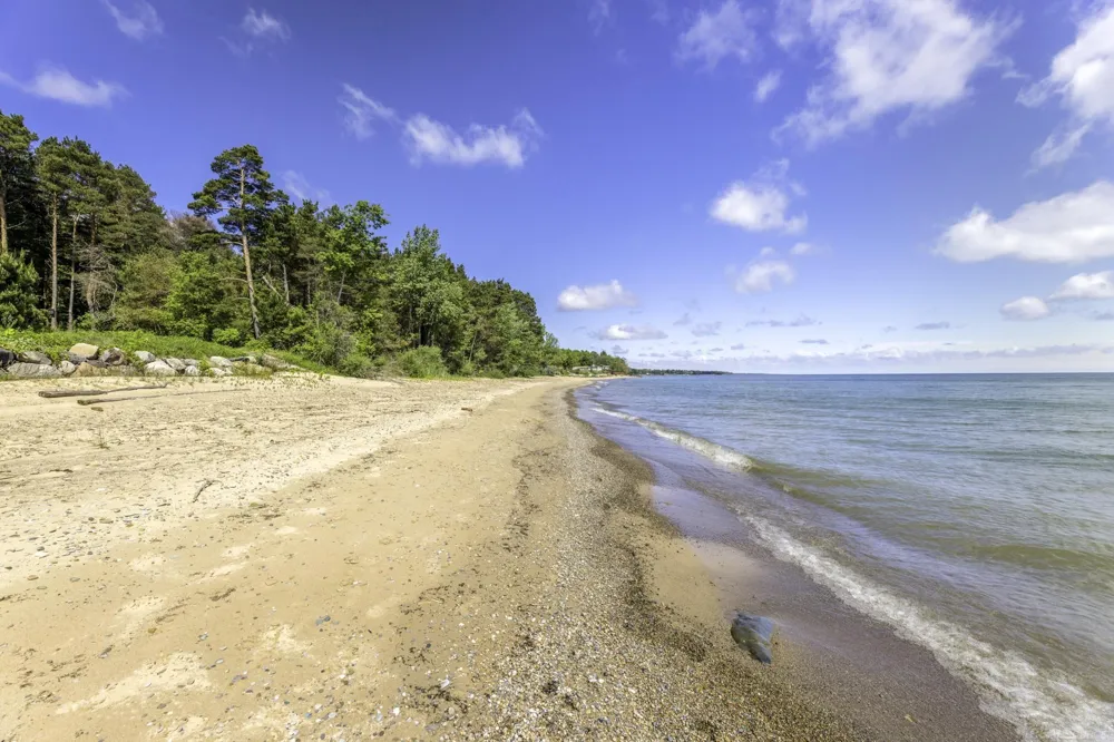 3388 Lakeshore Road Forester Township, MI 48427
