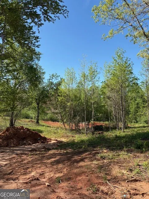 365 Hunts Ridge DR Cleveland, GA 30528