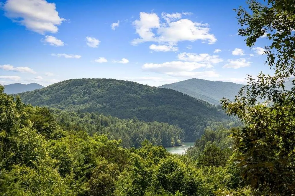 93 Misty Mountain Trail Morganton, GA 30560