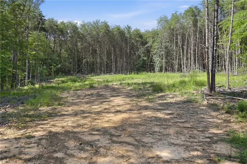 00 Pinehaven Trail Eden, NC 27288