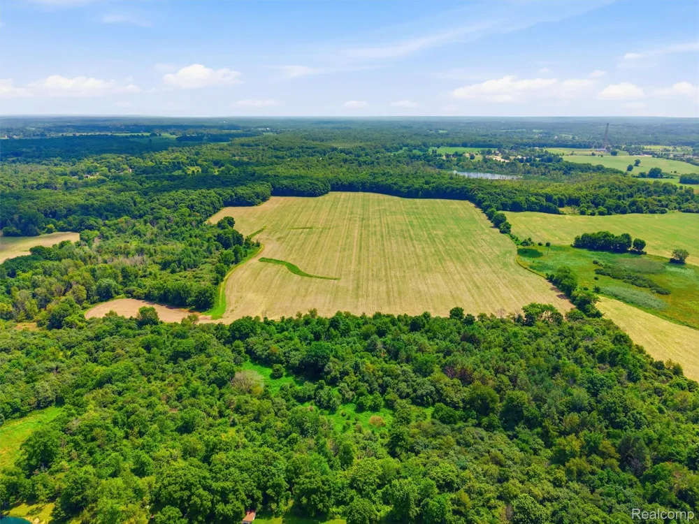 Atlas Road Atlas Township, MI 48439