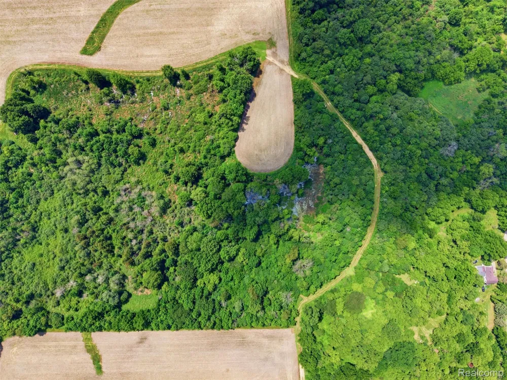 E Maple Avenue Atlas Township, MI 48423