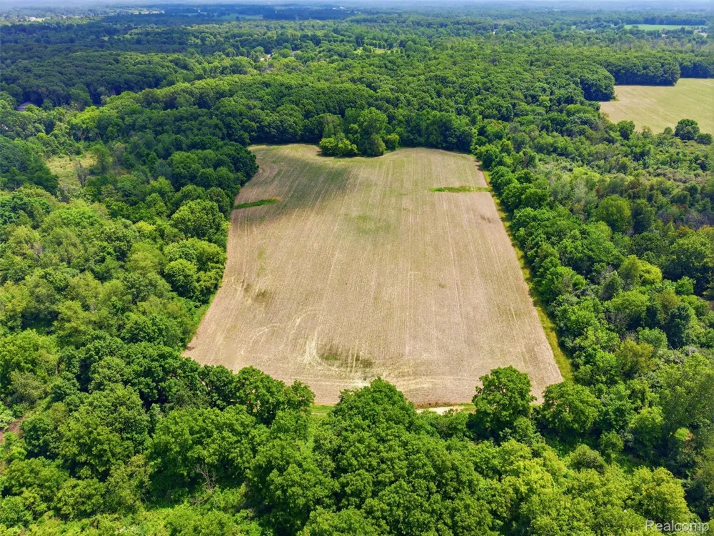 E Maple Avenue Atlas Township, MI 48423