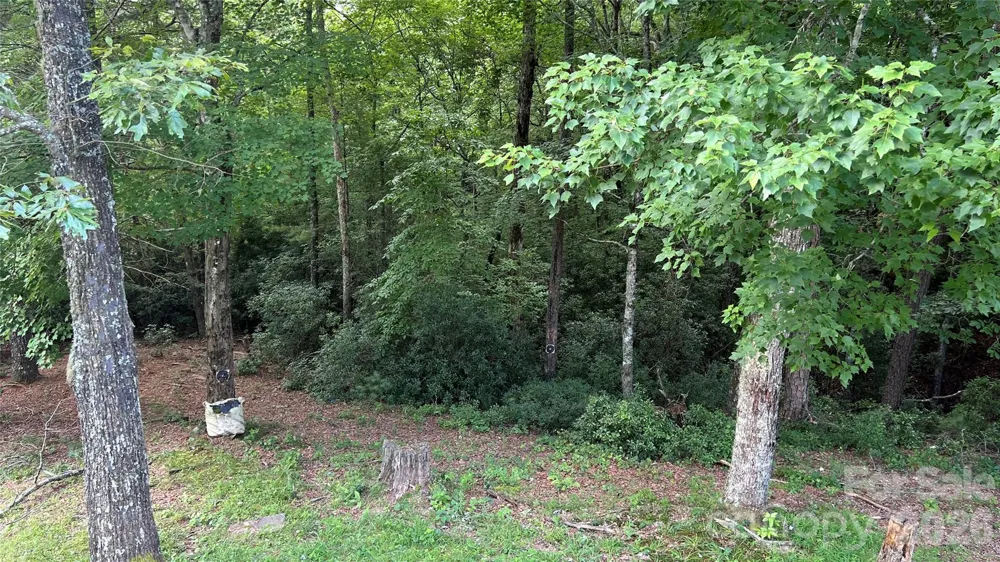 236 Forest Lane Murphy, NC 28906