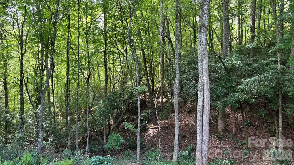 236 Forest Lane Murphy, NC 28906