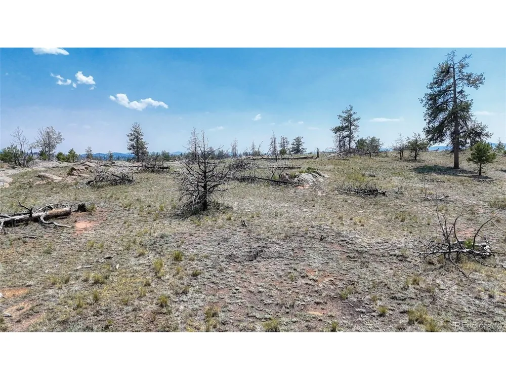 617 Chateau Vis Florissant, CO 80816