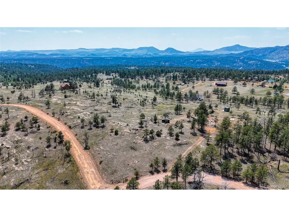 617 Chateau Vis Florissant, CO 80816