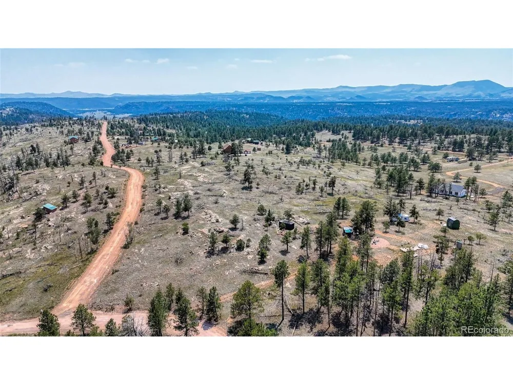 617 Chateau Vis Florissant, CO 80816