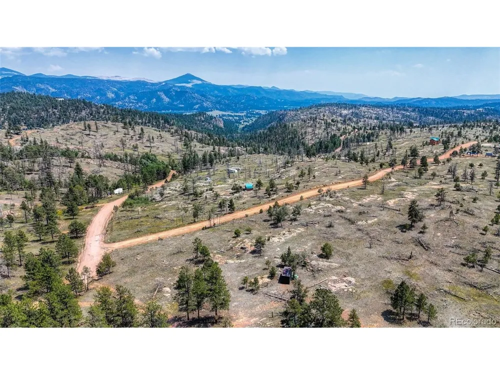 617 Chateau Vis Florissant, CO 80816