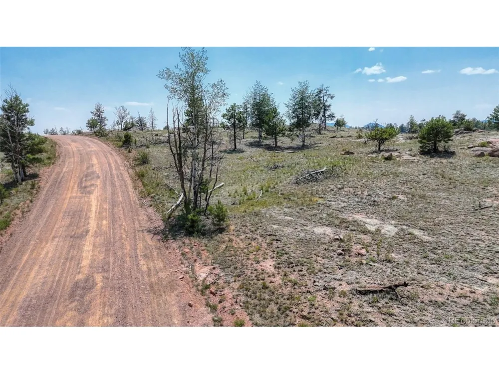 617 Chateau Vis Florissant, CO 80816