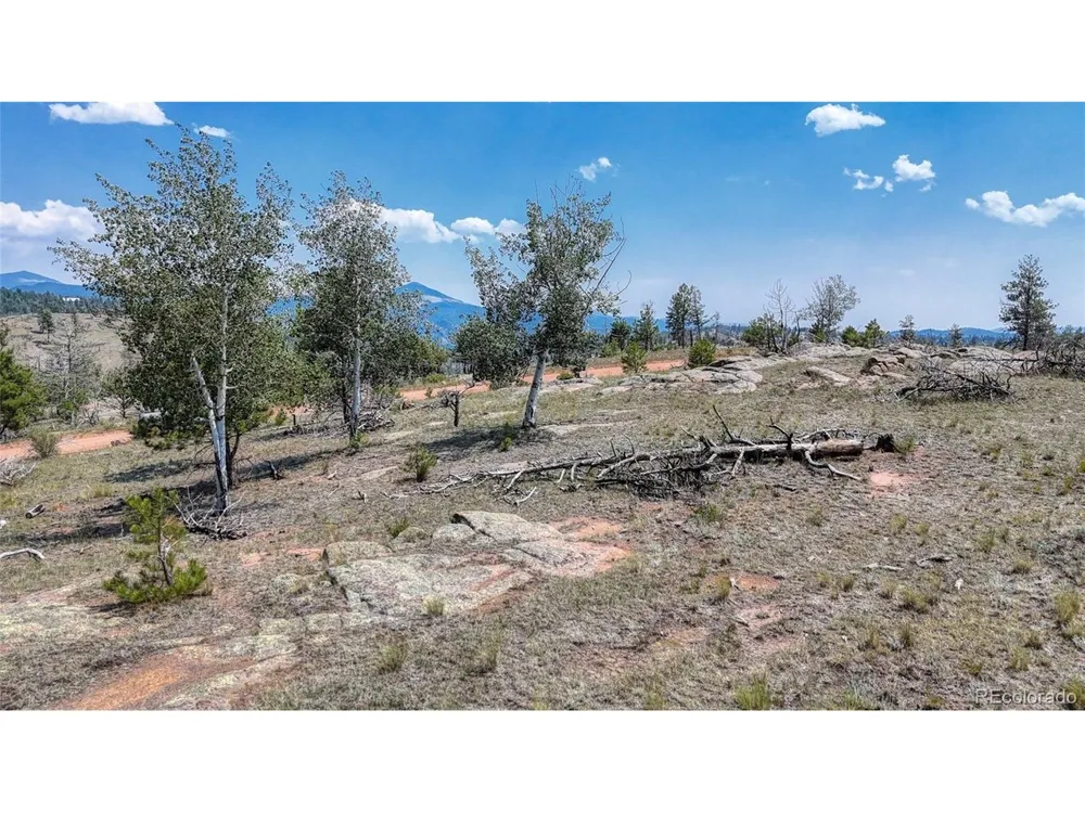 617 Chateau Vis Florissant, CO 80816