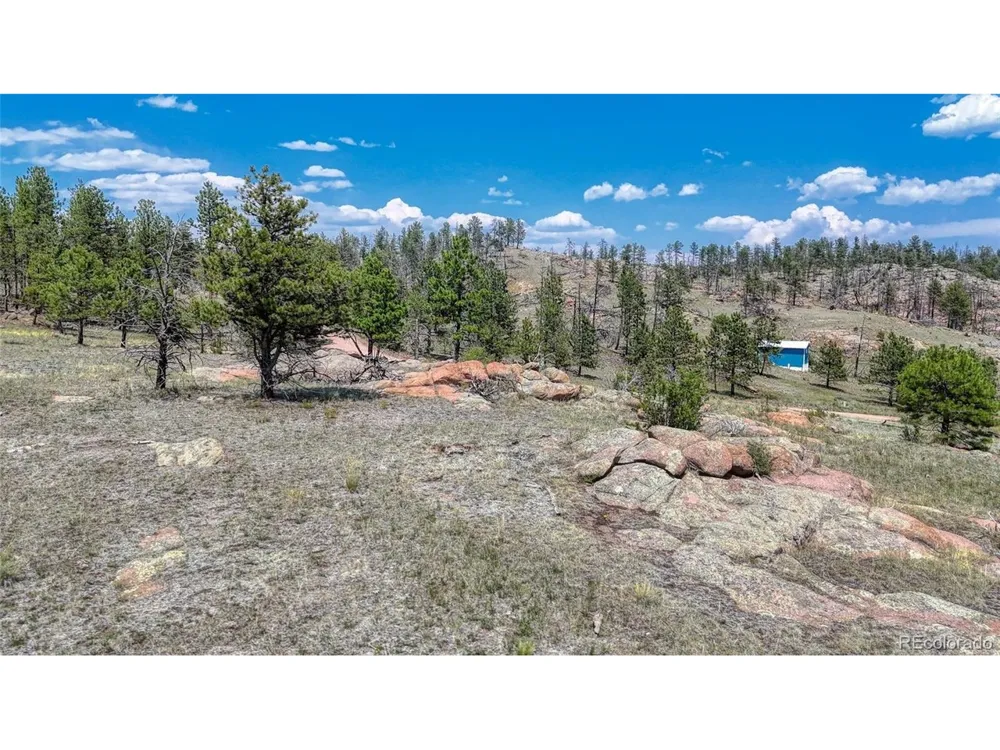 617 Chateau Vis Florissant, CO 80816