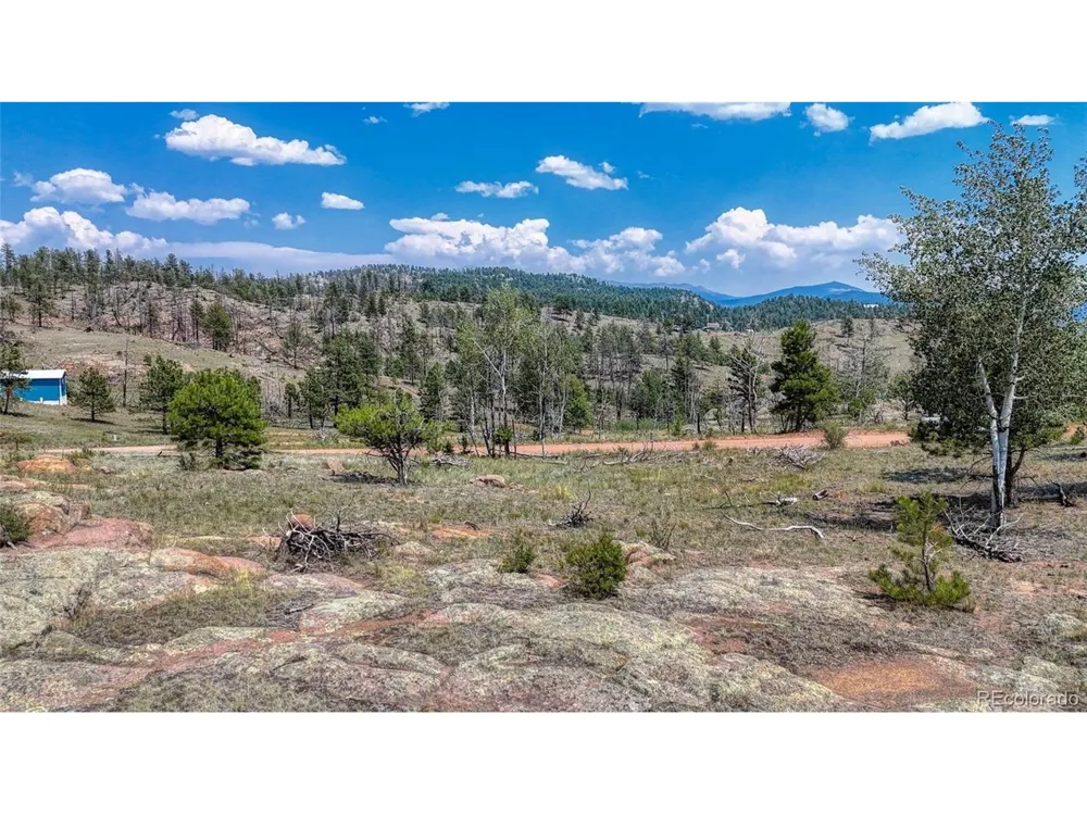 617 Chateau Vis Florissant, CO 80816