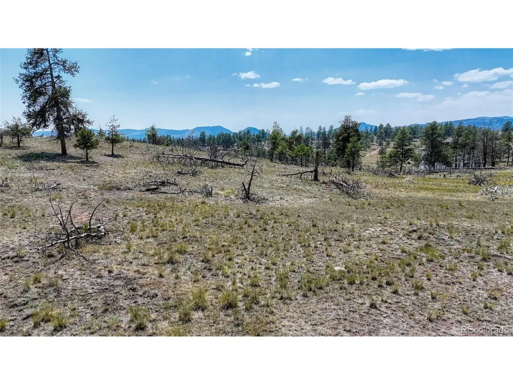 617 Chateau Vis Florissant, CO 80816