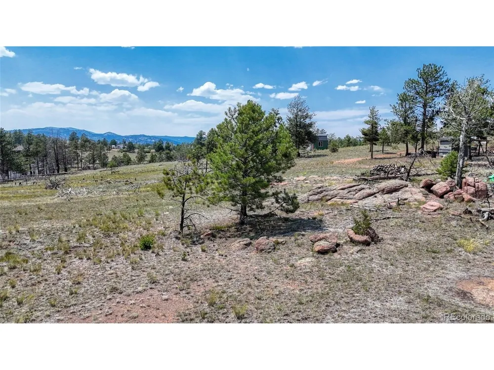 617 Chateau Vis Florissant, CO 80816