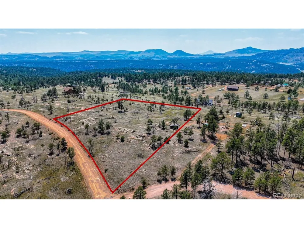 617 Chateau Vis Florissant, CO 80816