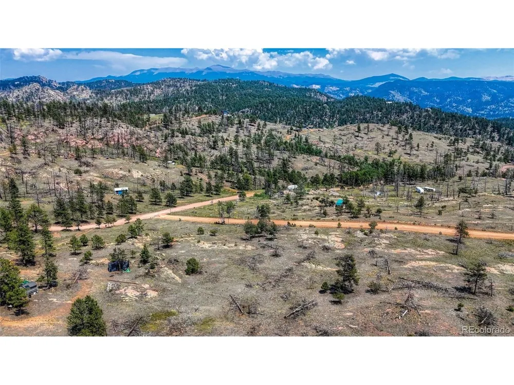 617 Chateau Vis Florissant, CO 80816