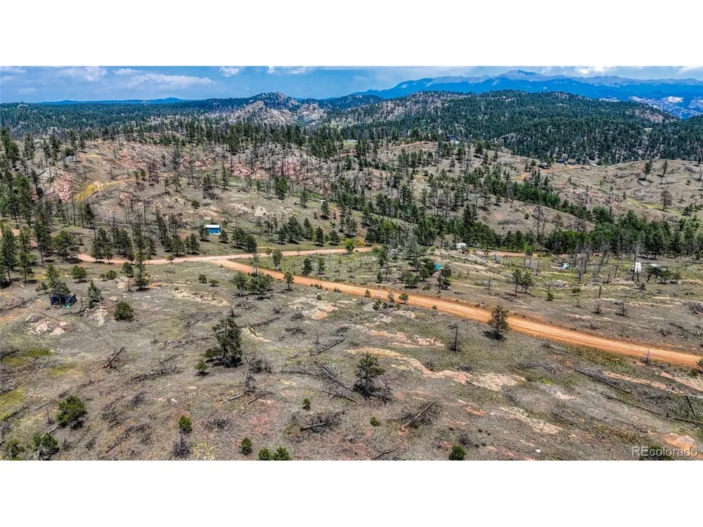 617 Chateau Vis Florissant, CO 80816